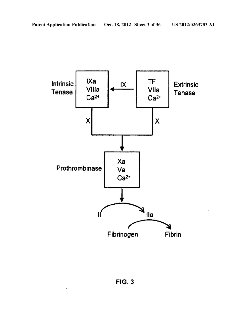 COAGULATION FACTOR IX COMPOSITIONS AND METHODS OF MAKING AND USING SAME - diagram, schematic, and image 04