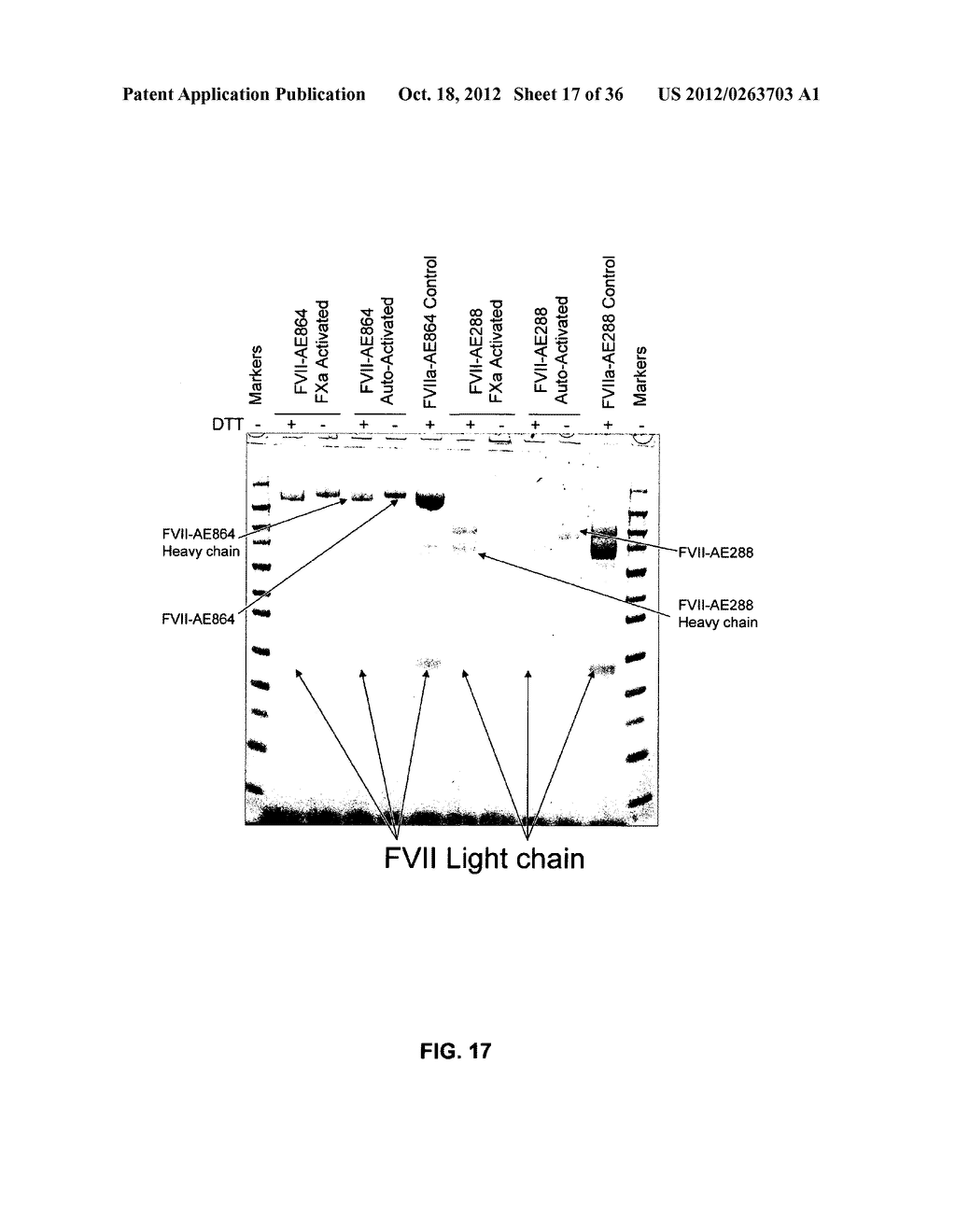 COAGULATION FACTOR IX COMPOSITIONS AND METHODS OF MAKING AND USING SAME - diagram, schematic, and image 18