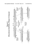 MULTIPLEX DICER SUBSTRATE RNA INTERFERENCE MOLECULES HAVING JOINING     SEQUENCES diagram and image