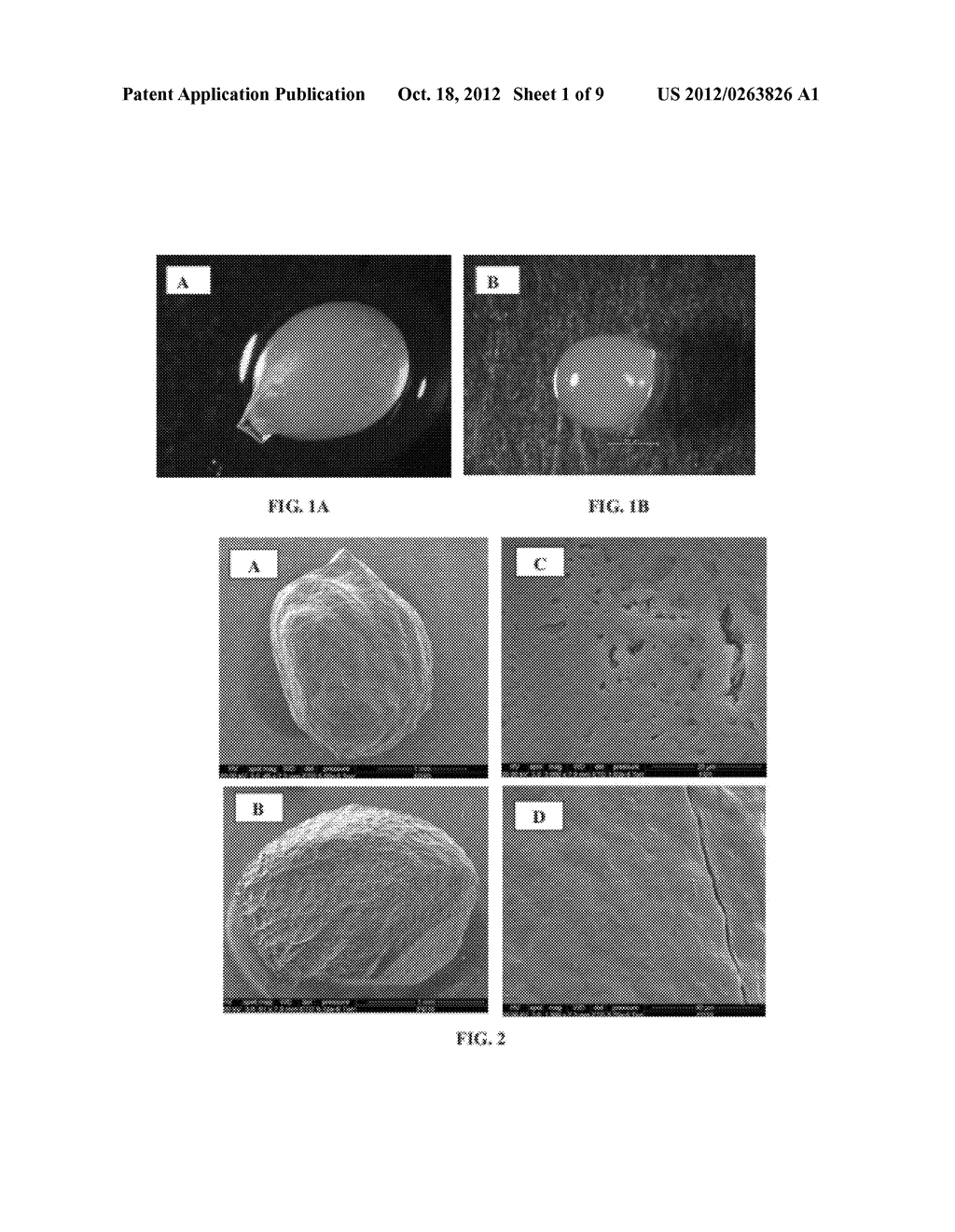 ENCAPSULATION SYSTEM FOR PROTECTION OF PROBIOTICS DURING PROCESSING - diagram, schematic, and image 02