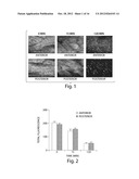 Compositions And Method For Tissue Preservation diagram and image