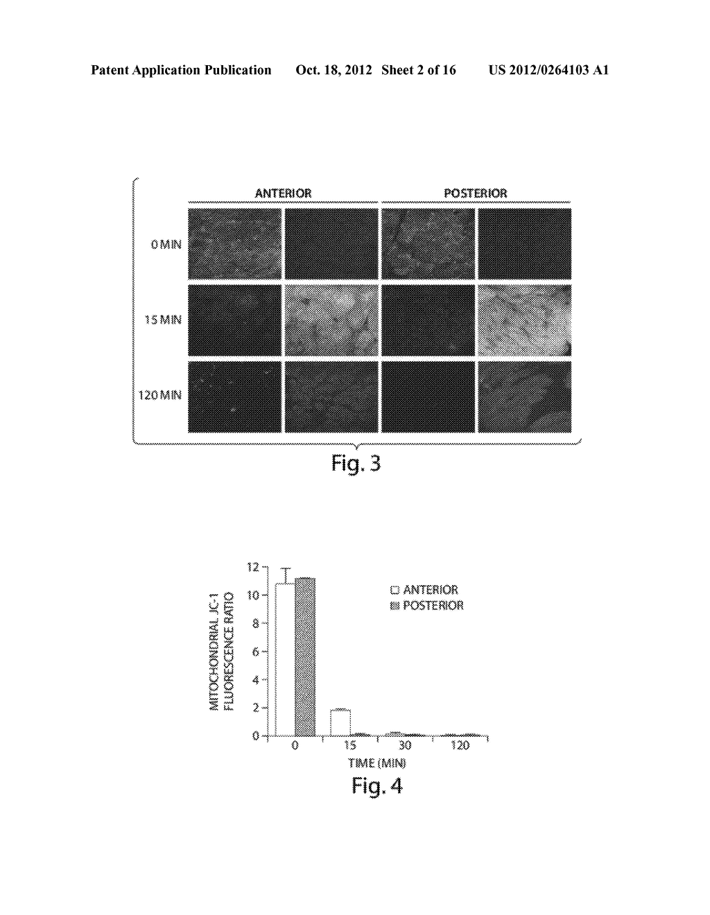 Compositions And Method For Tissue Preservation - diagram, schematic, and image 03