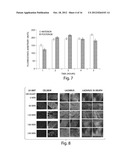 Compositions And Method For Tissue Preservation diagram and image