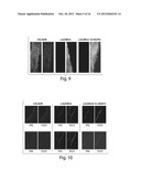 Compositions And Method For Tissue Preservation diagram and image