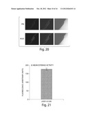 Compositions And Method For Tissue Preservation diagram and image