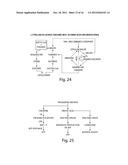 Compositions And Method For Tissue Preservation diagram and image