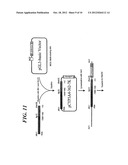 METHOD OF MEASURING HUMAN CYP3A INDUCIBILITY diagram and image