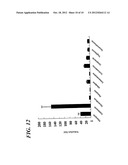 METHOD OF MEASURING HUMAN CYP3A INDUCIBILITY diagram and image