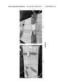 USE OF SUPERHYDROPHOBIC SURFACES FOR LIQUID AGGLUTINATION ASSAYS diagram and image