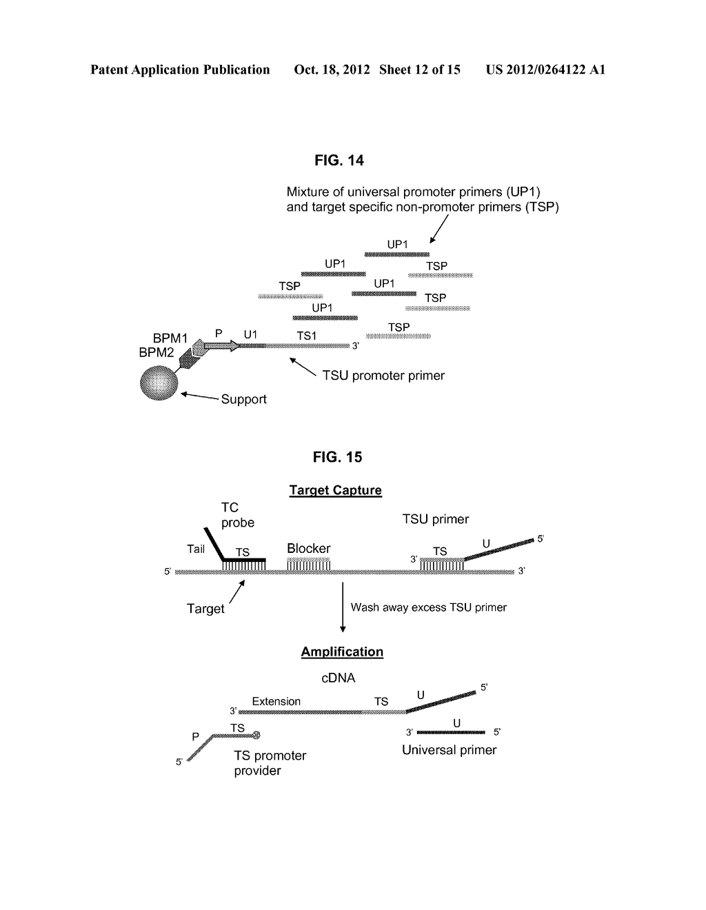 METHODS AND COMPOSITIONS FOR NUCLEIC ACID AMPLIFICATION - diagram, schematic, and image 13