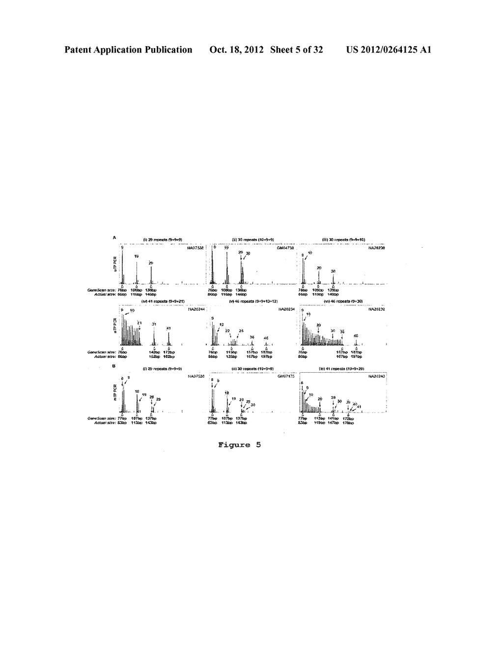 SCREENING METHOD FOR TRINUCLEOTIDE REPEAT SEQUENCES - diagram, schematic, and image 06