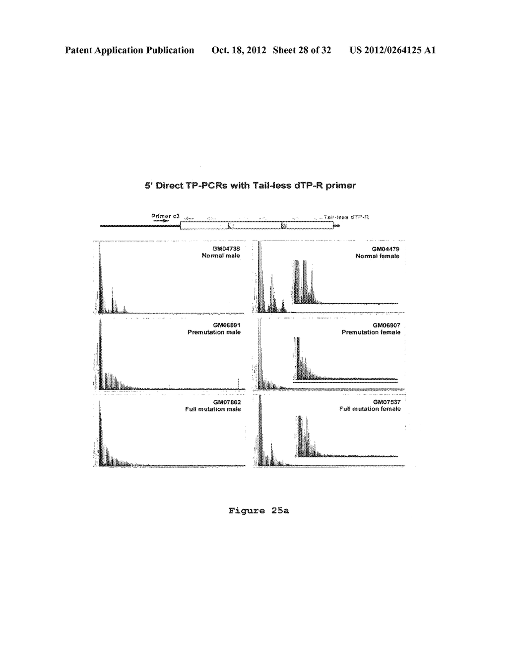 SCREENING METHOD FOR TRINUCLEOTIDE REPEAT SEQUENCES - diagram, schematic, and image 29