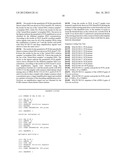 METHOD FOR QUALITATIVE AND QUANTITATIVE DETECTION OF COMMON WHEAT diagram and image
