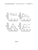 METHOD FOR DIAGNOSING ACUTE CORONARY SYNDROME diagram and image