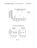 DETECTION OF B-CELL ACTIVATING FACTOR AS A BIOMARKER FOR ANTIBODY MEDIATED     REJECTION IN TRANSPLANT RECIPIENTS diagram and image