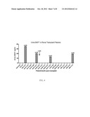 DETECTION OF B-CELL ACTIVATING FACTOR AS A BIOMARKER FOR ANTIBODY MEDIATED     REJECTION IN TRANSPLANT RECIPIENTS diagram and image