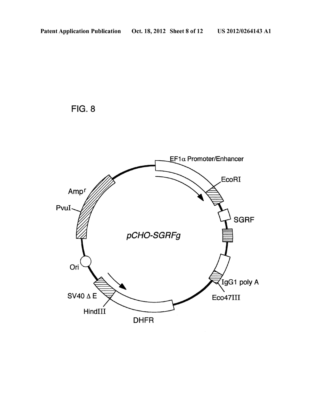 CYTOKINE-LIKE PROTEINS - diagram, schematic, and image 09