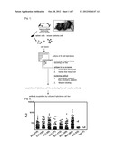 Diagnostic Marker for Hepatocellular Carcinoma Comprising Anti-FASN     Autoantibodies and a Diagnostic Composition for Hepatocellular Carcinoma     Comprising Antigens Thereof diagram and image