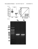 Diagnostic Marker for Hepatocellular Carcinoma Comprising Anti-FASN     Autoantibodies and a Diagnostic Composition for Hepatocellular Carcinoma     Comprising Antigens Thereof diagram and image