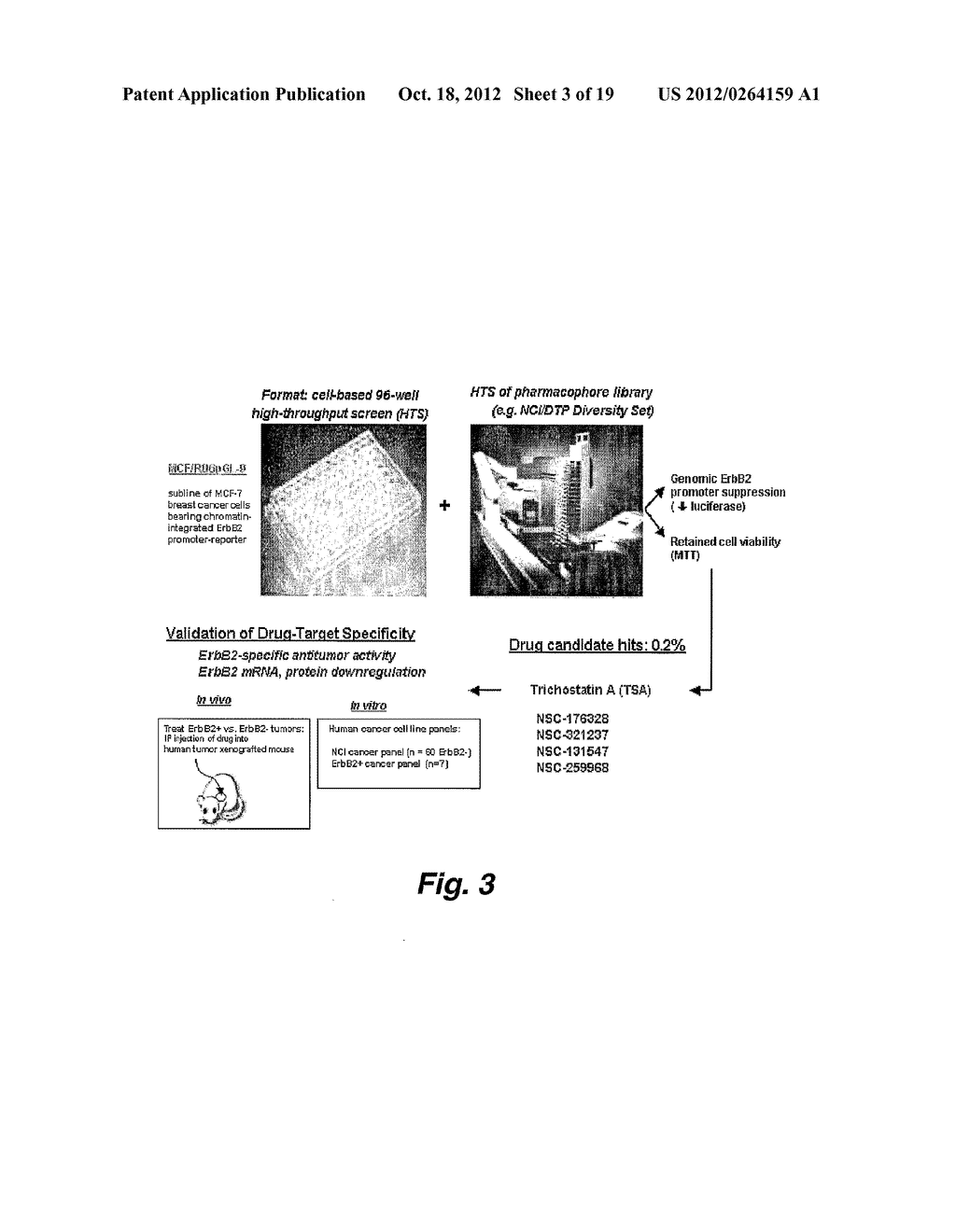 SCREENING SYSTEM FOR MODULATORS OF HER2 MEDIATED TRANSCRIPTION AND HER2     MODULATORS IDENTIFED THEREBY - diagram, schematic, and image 04