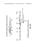 SCREENING SYSTEM FOR MODULATORS OF HER2 MEDIATED TRANSCRIPTION AND HER2     MODULATORS IDENTIFED THEREBY diagram and image