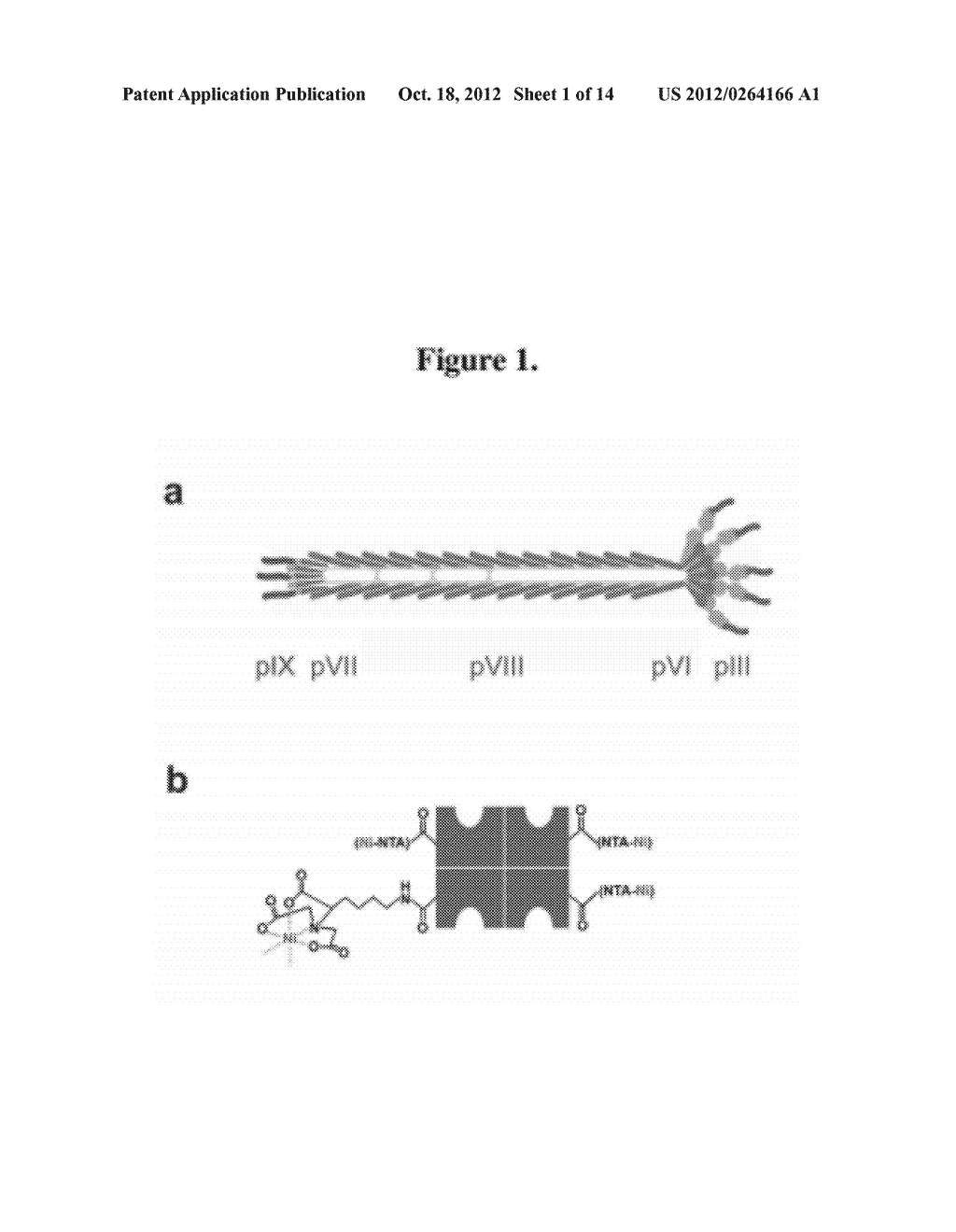 MULTIFUNCTIONAL BIOMATERIALS AS SCAFFOLDS FOR ELECTRONIC, OPTICAL,     MAGNETIC, SEMICONDUCTING, AND BIOTECHNOLOGICAL APPLICATIONS - diagram, schematic, and image 02