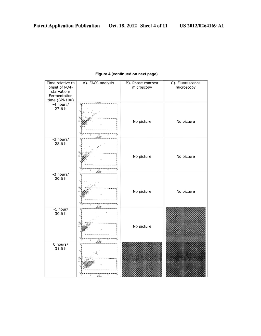 DNASE EXPRESSION IN RECOMBINANT HOST CELLS - diagram, schematic, and image 05