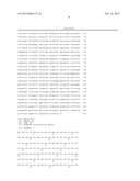 Protein from Photobacterium Damselae and Use Thereof diagram and image