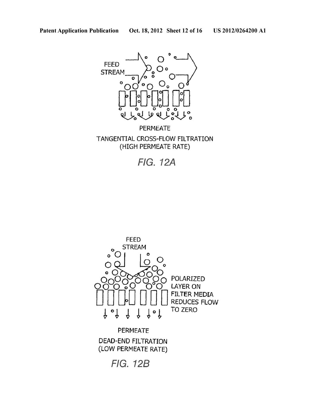 SYSTEMS AND METHODS FOR ISOLATING AND USING CLINICALLY SAFE ADIPOSE     DERIVED REGENERATIVE CELLS - diagram, schematic, and image 13