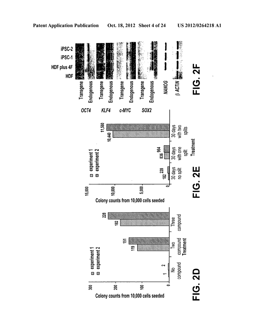 INDUCTION OF PLURIPOTENT CELLS - diagram, schematic, and image 05