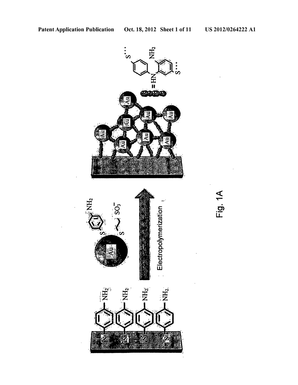 Method and Device for Detection of Nitroamines - diagram, schematic, and image 02
