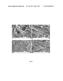 ACTIVATED CARBON/SILICA-GEL/CACL2 COMPOSITE ADSORBENT MATERIAL FOR     AIR-CONDITIONING APPLICATIONS AND A METHOD OF PREPARING THE SAME diagram and image