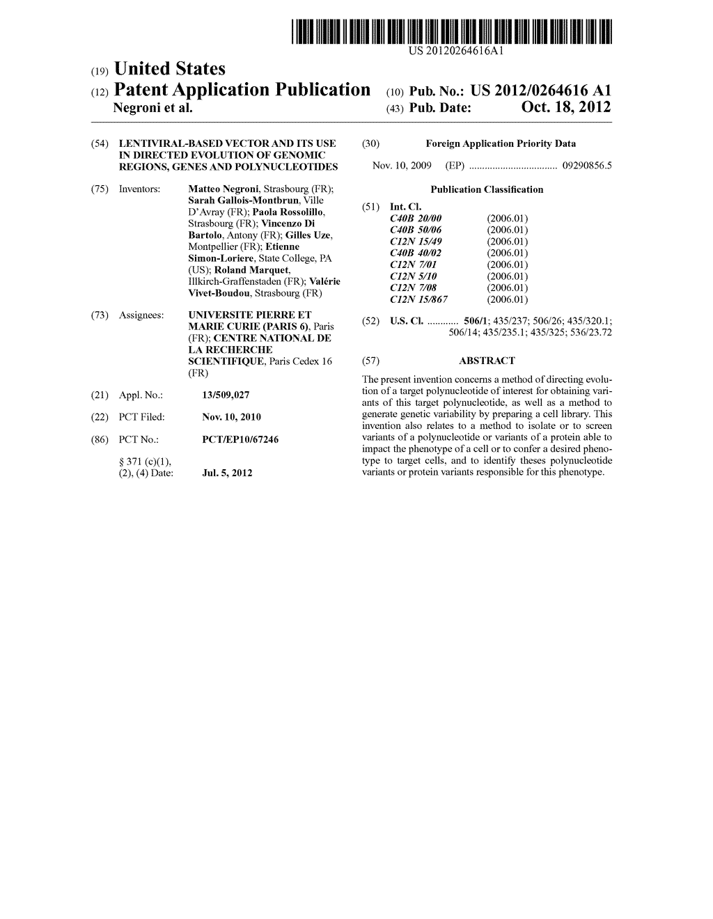 LENTIVIRAL-BASED VECTOR AND ITS USE IN DIRECTED EVOLUTION OF GENOMIC     REGIONS, GENES AND POLYNUCLEOTIDES - diagram, schematic, and image 01