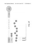 PHASE-PROTECTING REAGENT FLOW ORDERINGS FOR USE IN SEQUENCING-BY-SYNTHESIS diagram and image