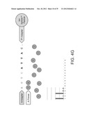 PHASE-PROTECTING REAGENT FLOW ORDERINGS FOR USE IN SEQUENCING-BY-SYNTHESIS diagram and image