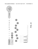 PHASE-PROTECTING REAGENT FLOW ORDERINGS FOR USE IN SEQUENCING-BY-SYNTHESIS diagram and image