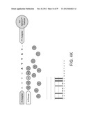 PHASE-PROTECTING REAGENT FLOW ORDERINGS FOR USE IN SEQUENCING-BY-SYNTHESIS diagram and image