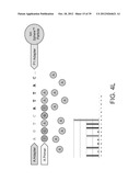 PHASE-PROTECTING REAGENT FLOW ORDERINGS FOR USE IN SEQUENCING-BY-SYNTHESIS diagram and image