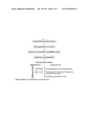 METHOD FOR DETECTING THE METHYLATION OF COLORECTAL-CANCER-SPECIFIC     METHYLATION MARKER GENES FOR COLORECTAL CANCER DIAGNOSIS diagram and image