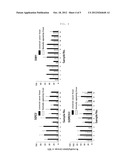 METHOD FOR DETECTING THE METHYLATION OF COLORECTAL-CANCER-SPECIFIC     METHYLATION MARKER GENES FOR COLORECTAL CANCER DIAGNOSIS diagram and image