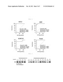 METHOD FOR DETECTING THE METHYLATION OF COLORECTAL-CANCER-SPECIFIC     METHYLATION MARKER GENES FOR COLORECTAL CANCER DIAGNOSIS diagram and image