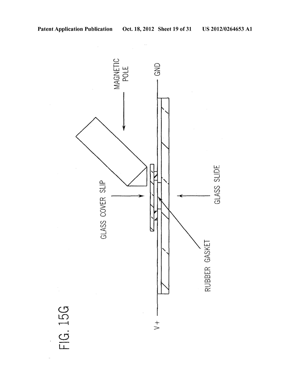 Methods for High Fidelity Production of Long Nucleic Acid Molecules - diagram, schematic, and image 20