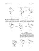 METHODS OF USING [3.2.0] HETEROCYCLIC COMPOUNDS AND ANALOGS THEREOF FOR     TREATING INFECTIOUS DISEASES diagram and image