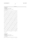 USE OF AN FGF-21 COMPOUND AND A GLP-1 COMPOUND FOR THE TREATMENT OF     OBESITY diagram and image