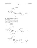 NOVEL CEPHALOSPORIN DERIVATIVES AND PHARMACEUTICAL COMPOSITIONS THEREOF diagram and image