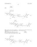 NOVEL CEPHALOSPORIN DERIVATIVES AND PHARMACEUTICAL COMPOSITIONS THEREOF diagram and image