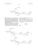 NOVEL CEPHALOSPORIN DERIVATIVES AND PHARMACEUTICAL COMPOSITIONS THEREOF diagram and image