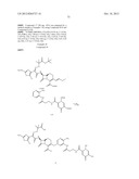 NOVEL CEPHALOSPORIN DERIVATIVES AND PHARMACEUTICAL COMPOSITIONS THEREOF diagram and image