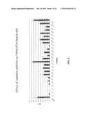 OXAZOLE AND THIAZOLE COMPOUNDS AS BETA-CATENIN MODULATORS AND USES THEREOF diagram and image