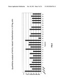 OXAZOLE AND THIAZOLE COMPOUNDS AS BETA-CATENIN MODULATORS AND USES THEREOF diagram and image